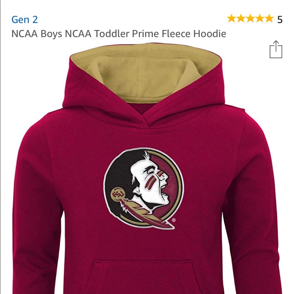 FSU toddler hoodie